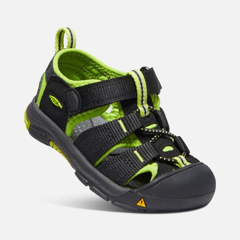 Sandalias Keen Mexico Negros/Verdes - Niños Newport H2 - CM5620347